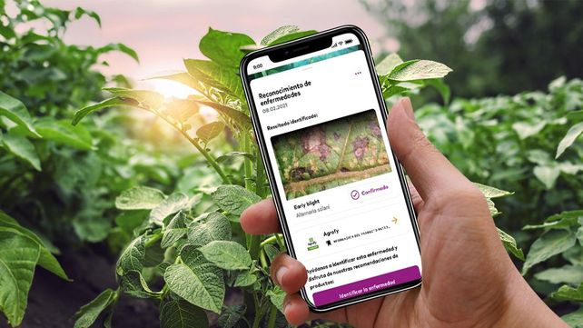 Agrofy y xarvio se unen para darle más soluciones al agro