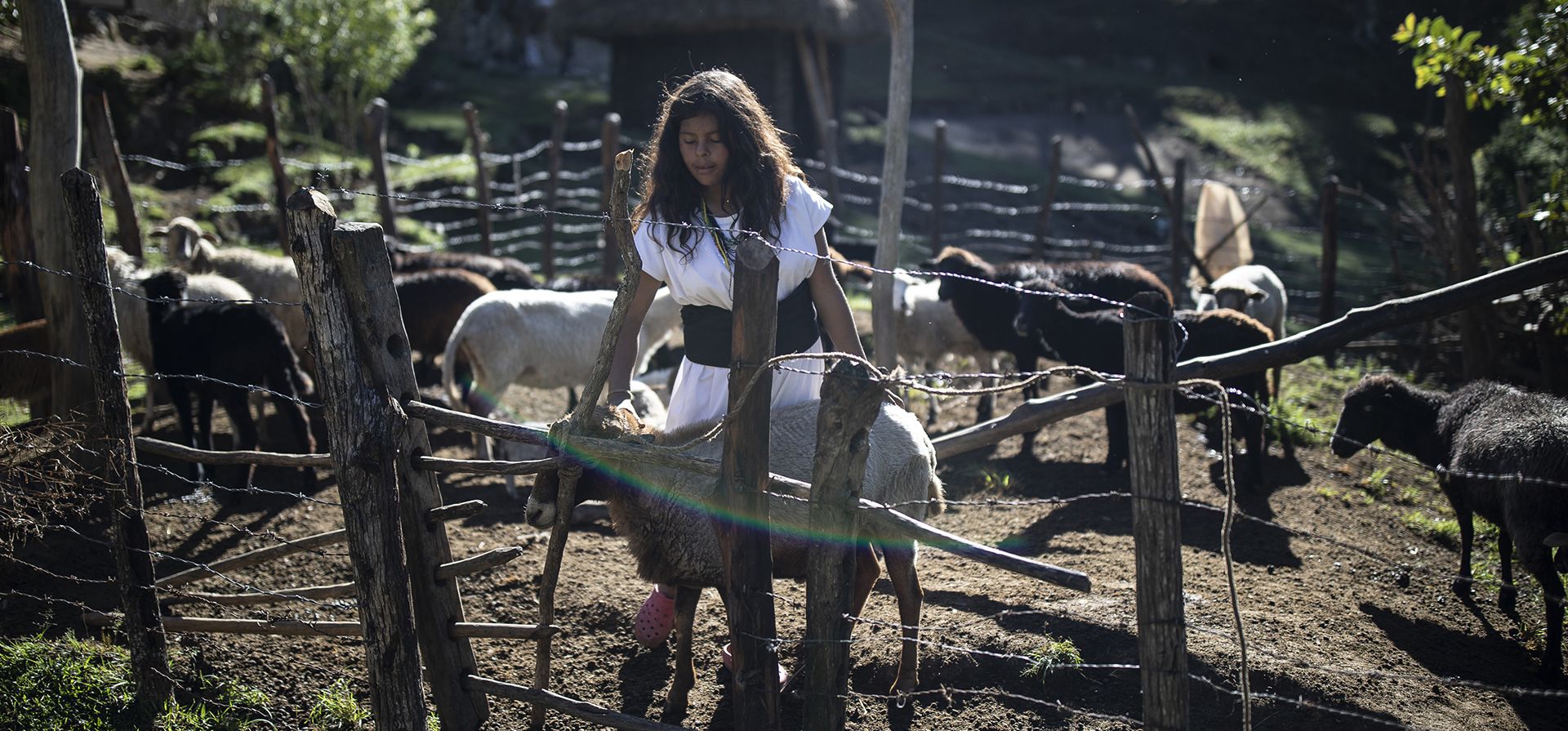 La joven indígena arhuaco Irene, de 16 años, ayuda con las ovejas de la familia en Nabusimake en la Sierra Nevada de Santa Marta, Colombia. El conocimiento que los arhuacos y los otros tres pueblos indígenas de la Sierra Nevada de Santa Marta , los Koguis, Wiwas y Kankuamos, ha sido declarado Patrimonio Cultural Inmaterial de la Humanidad por la UNESCO. (Foto AP/Iván Valencia)