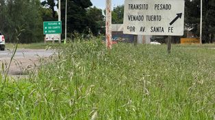 Leticia Di Gregorio volvió a reclamar por el abandono de las rutas nacionales del departamento General López