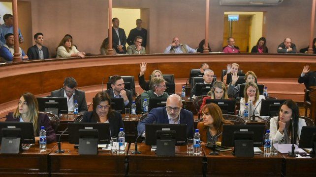 Laura Stratta fue una de las voces del PJ que no apoyó la ley que autoriza al Ejecutivo a tomar nueva deuda en dólares.&nbsp;