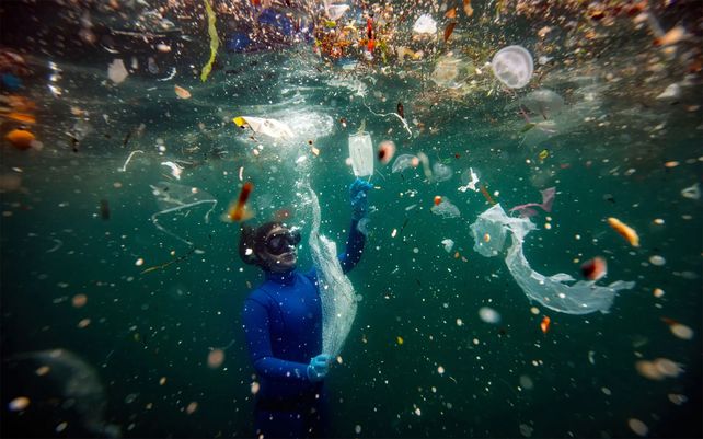 Los desechos de Covid-19 son un nuevo peligro para la vida acuática. Según un informe del Fondo Mundial para la Naturaleza, se está mezclando un equivalente a 33,880 botellas de plástico en el mar Mediterráneo por minuto.