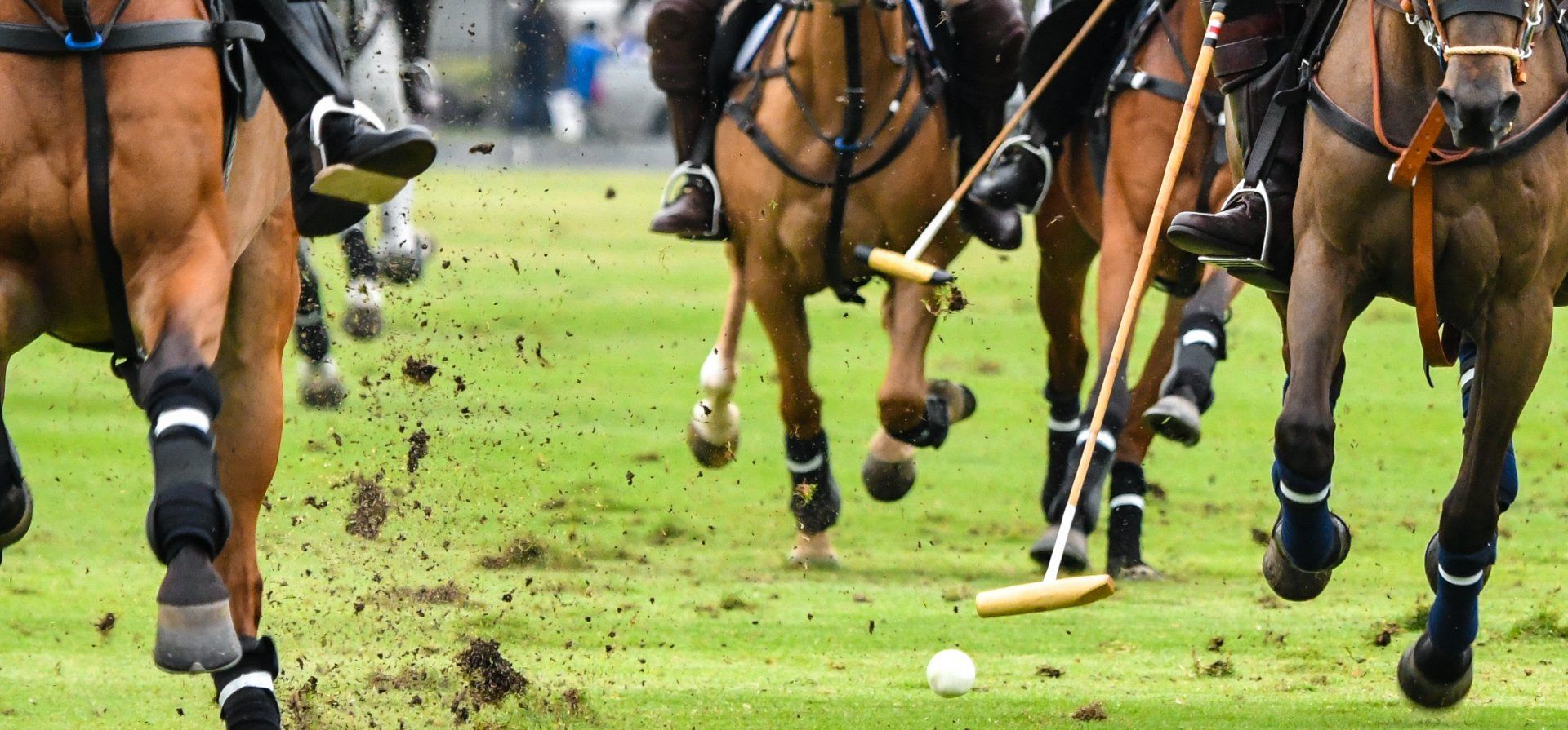 ¿Cuánto cuesta jugar al polo en Rosario? 