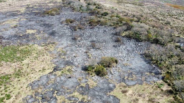 Incendios en las islas: controlan más del 90% de los focos y prevén un alivio hidrológico en el río Paraná