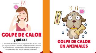 Cómo prevenir golpes de calor ante las altas temperaturas