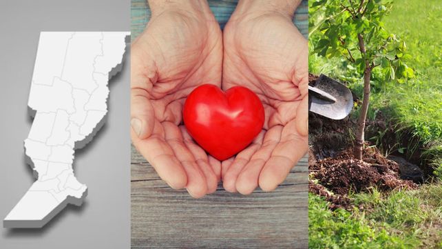 En el Día Nacional de Donación de Órganos Santa Fe homenajeará a los donantes santafesinos