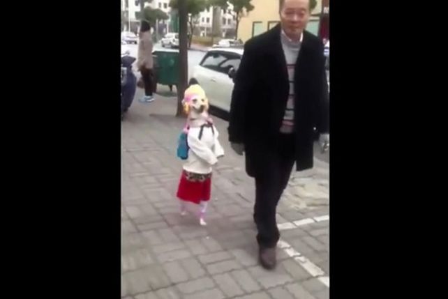 Es furor la perra que camina como una niña en China