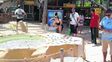 proyecto tamar, el santuario de las tortugas