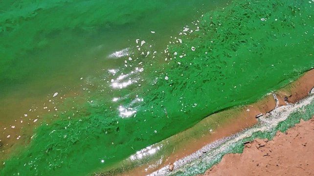 Concordia: convocan a mateada para informar sobre el deterioro del río Uruguay.
