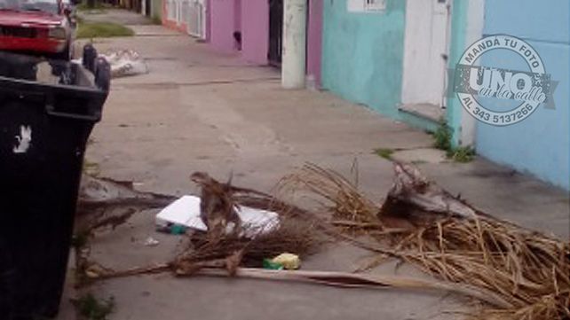 Restos de podas en la vereda