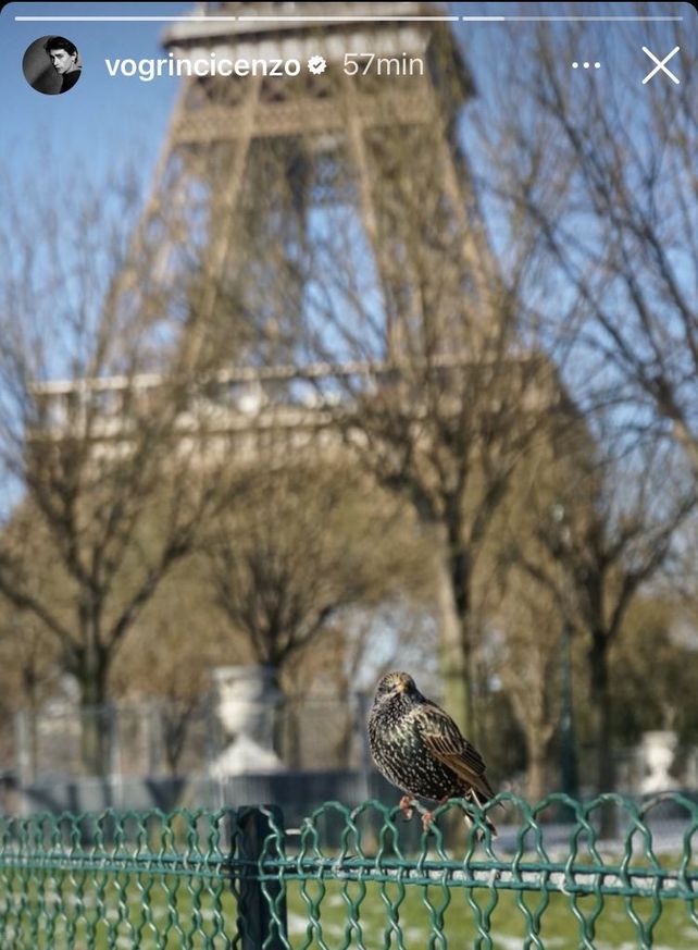 La foto que compartió &nbsp;Enzo Vogrincic en la Torre Eiffel