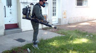 Dengue: se activó un protocolo de bloqueo por un caso sospechoso en barrio Sur que finalmente resultó negativo