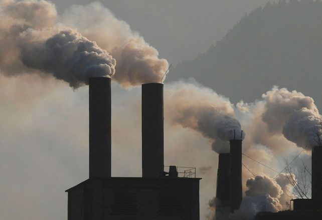 Cambio climático: piden que Trump se sume a la lucha