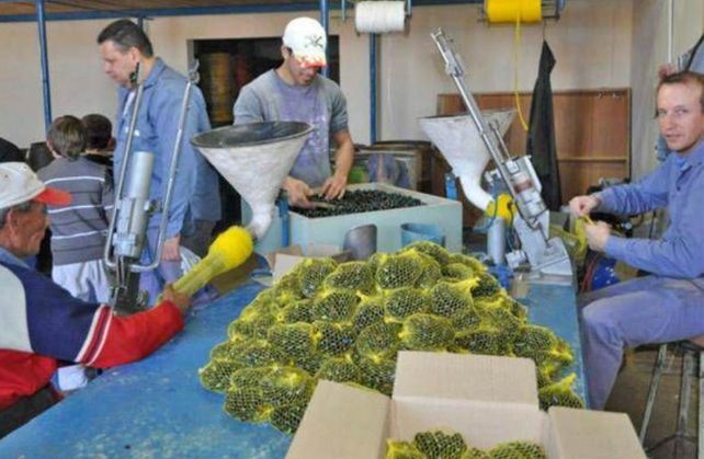 Peligra el futuro de Tinka, la fábrica santafesina de bolitas, la única de Sudamérica