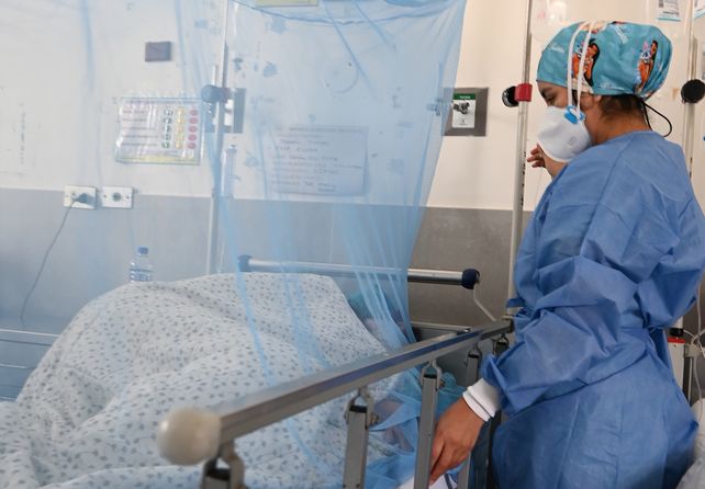 Esta temporada se registraron 9.793 casos de dengue confirmados