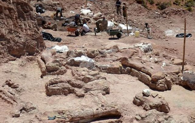 Yacimiento. El enterratorio se halla ubicado a 260 kilómetros al oeste de la ciudad de Trelew.