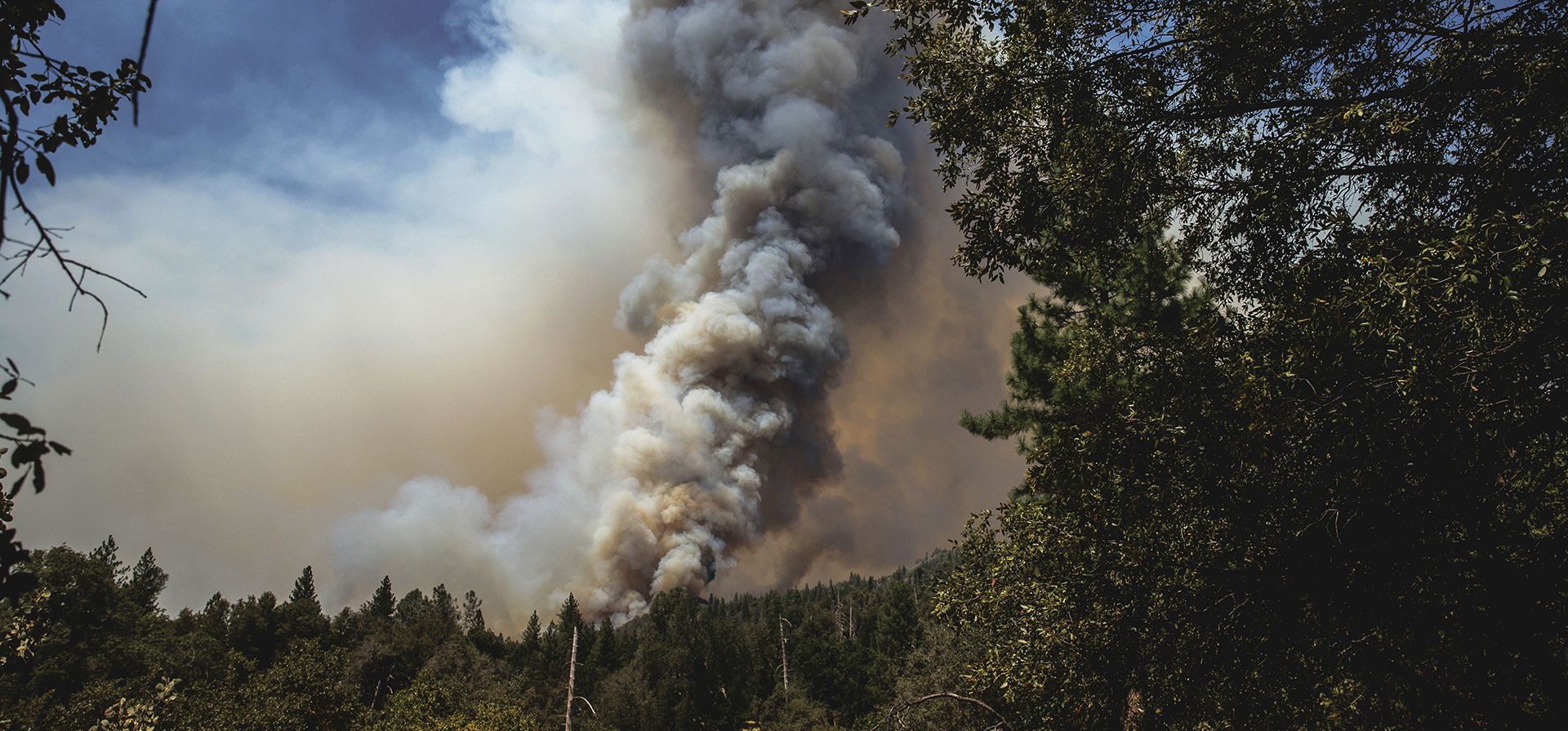 El Oak Fire arde cerca de la comunidad de Jerseydale en el condado de Mariposa, California, el domingo 24 de julio de 2022.