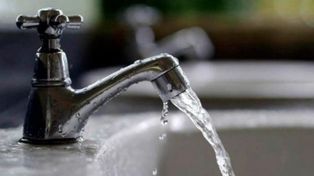 El agua de pozo contaminada con salmonella tiphy sería la responsable del brote