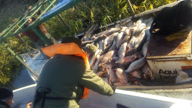 Secuestraron 1650 piezas de pescados depredados en Arroyo Leyes