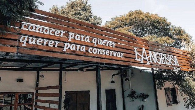 La Angélica es finalista por Argentina en un concurso internacional.