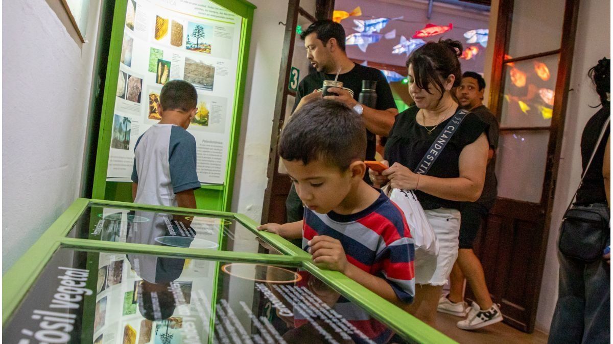 Convocan a instituciones entrerrianas a participar de La Noche de los Museos · Examedia