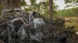Las inundaciones de Texas suman cien muertos y aún hay 161 desaparecidos
