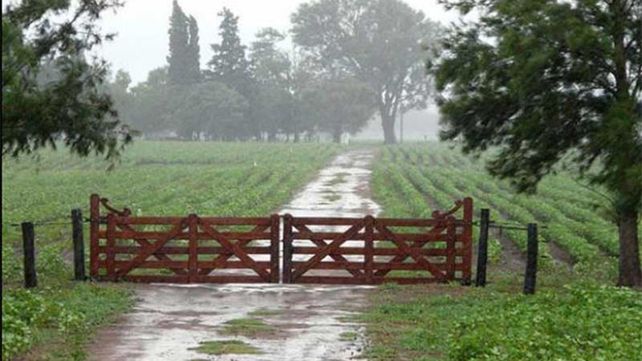 Llegaron las esperadas lluvias y le dieron un alivio al campo. Foto ilustrativa.&nbsp;