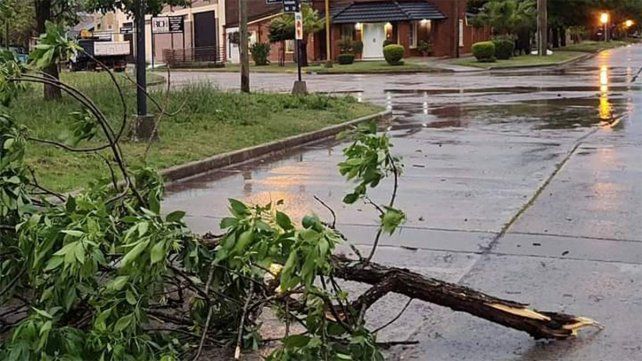 Cerrito: el temporal de viento y lluvia provocó grandes inconvenientes