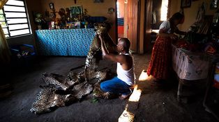 Imágenes ganadoras del premio Fotógrafo de Vida Silvestre 2018
