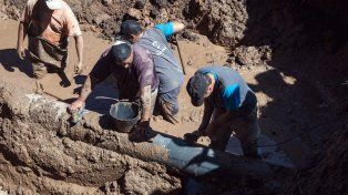 Por un caño roto en calle División de los Andes, se ve restringido el suministro de agua en la zona sur de Paraná. Los trabajos se extenderán hasta las 14