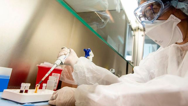 Covid-19: Desde el último reporte emitido, no se registraron nuevas muertes