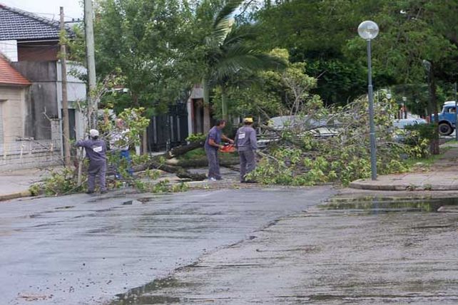 Llegó la lluvia y provocó destrozos: sigue el alerta por tormentas fuertes
