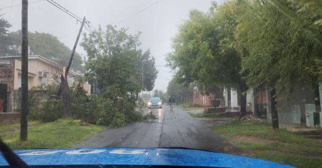 La Municipalidad de Paraná trabaja para atemperar las consecuencias de la tormenta de lluvia y viento desatada este martes en la región