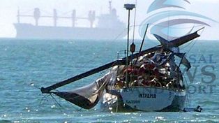 Una ballena franca se lanz&oacute; encima de un yate en Ciudad del Cabo