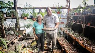 Sobreponerse a las adversidades y crear un mundo propio lleno de vida