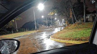 La tormenta tumbó un árbol en la zona del ex-Hipódromo de Paraná