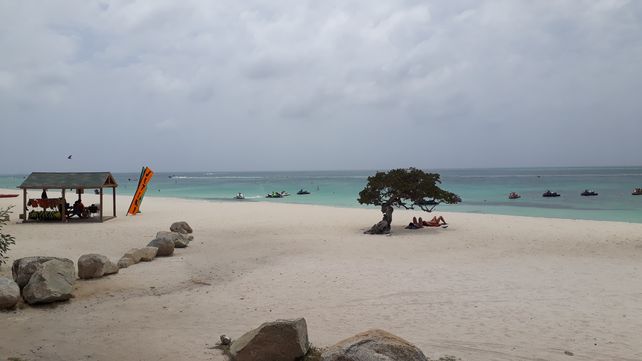 De Colón a Aruba, un mágico viaje por el Mar Caribe