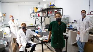 Olinda Briski, Martin Federico Allegroni, Daniel Salamone y Rafaél Fernández, parte del equipo del Laboratorio de Biotecnología Animal de la Universidad de Agronomía de la UBA y la Empresa emergente New Organs”.