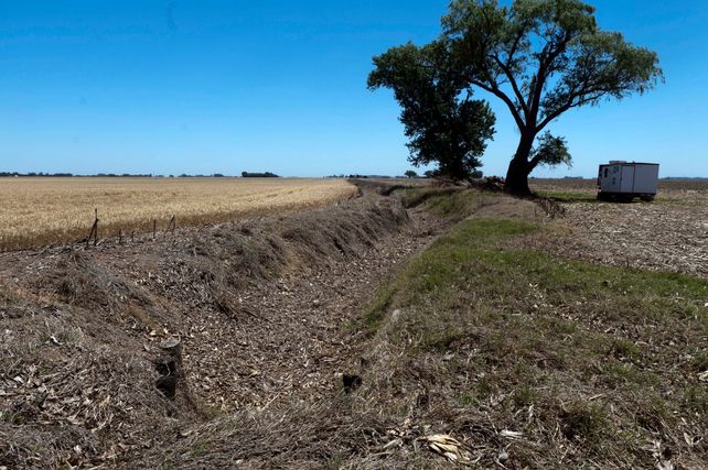Las condiciones de sequía predominan en gran parte del país pero castigan particularmente a la llanura pampeana.