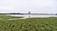 El repunte del río Paraná no se detiene y su nivel se acerca a los cuatro metros en Santa Fe