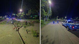 Los ocupantes de dos motos fueron afectados por la caída de la rama de un árbol en la costanera de Victoria. Ninguno tenía el casco reglamentario colocado&nbsp;