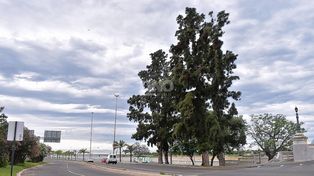 Un viernes caluroso e inestable en la ciudad de Santa Fe