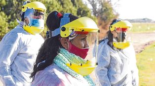 Este miércoles Santa Fe registró el mayor número de muertos por Covid en un día