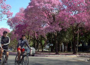 Pronóstico trimestral del SMN: Santa Fe se prepara para una primavera más lluviosa de lo normal