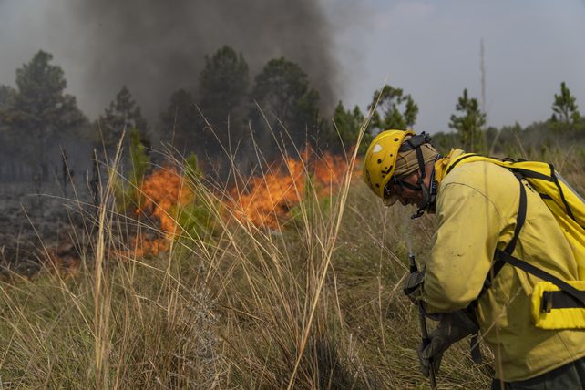 Devastador. Los incendios rurales y forestales ya consumieron 785 mil hectáreas