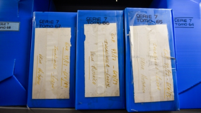 Las tres cajas que contiene la historia judicial del secuestro y muerte del m&eacute;dico Juan Ingalinella, detenido por la polic&iacute;a el 17 de junio de 1955. Se lo considera el primer desaparecido en democracia en Argentina.