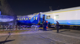 El accidente ferroviario sucedió el jueves a la&nbsp; noche en la zona sur de Rosario.&nbsp;