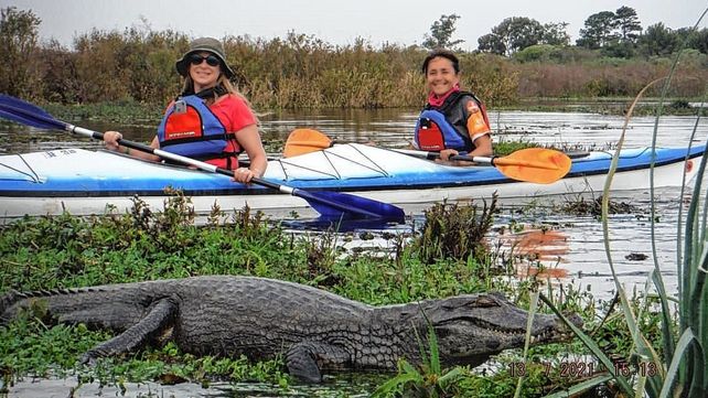 En la laguna Iberá se viven sensaciones únicas.