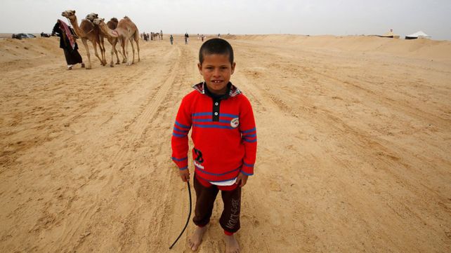Carreras de camellos en el desierto de Egipto