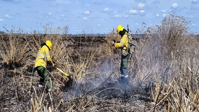 Hay incendios activos en Gualeguaychú. Contuvieron y controlaros sendos focos en Gualeguay
