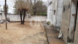 Rincón: denuncian una escalofriante situación en el cementerio